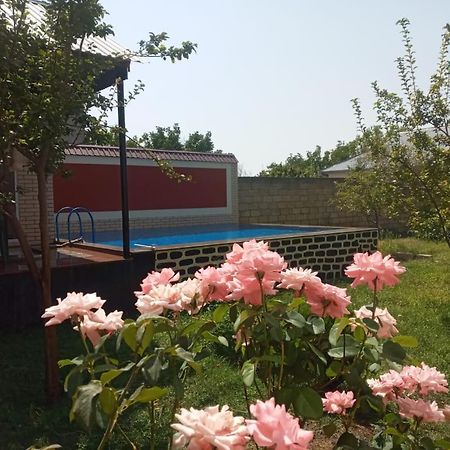 Villa Vilish Gabala Exterior photo