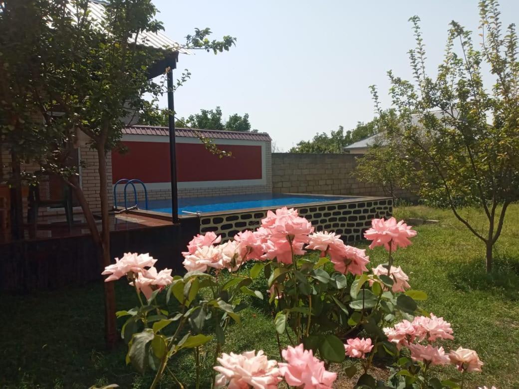 Villa Vilish Gabala Exterior photo